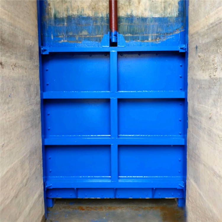 �����l�T